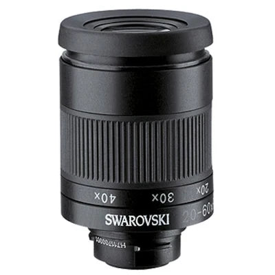Binocular Eyepieces