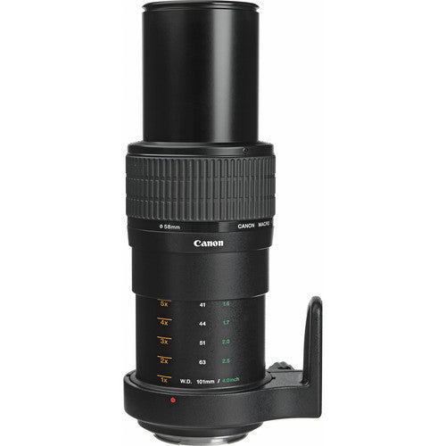 Canon MP-E 65mm F/2.8, Super Macro 1-5x