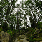 Nikon AF 16mm F/2.8 D Fisheye