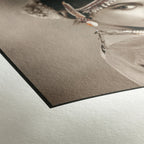 Hahnemuhle Photo Rag 308g Rol 432mm x 12m