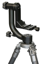 Wimberley WH-200 Testa Treppiedi Ver.II