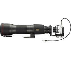 Nikon Staffa Digiscoping DSB-N1