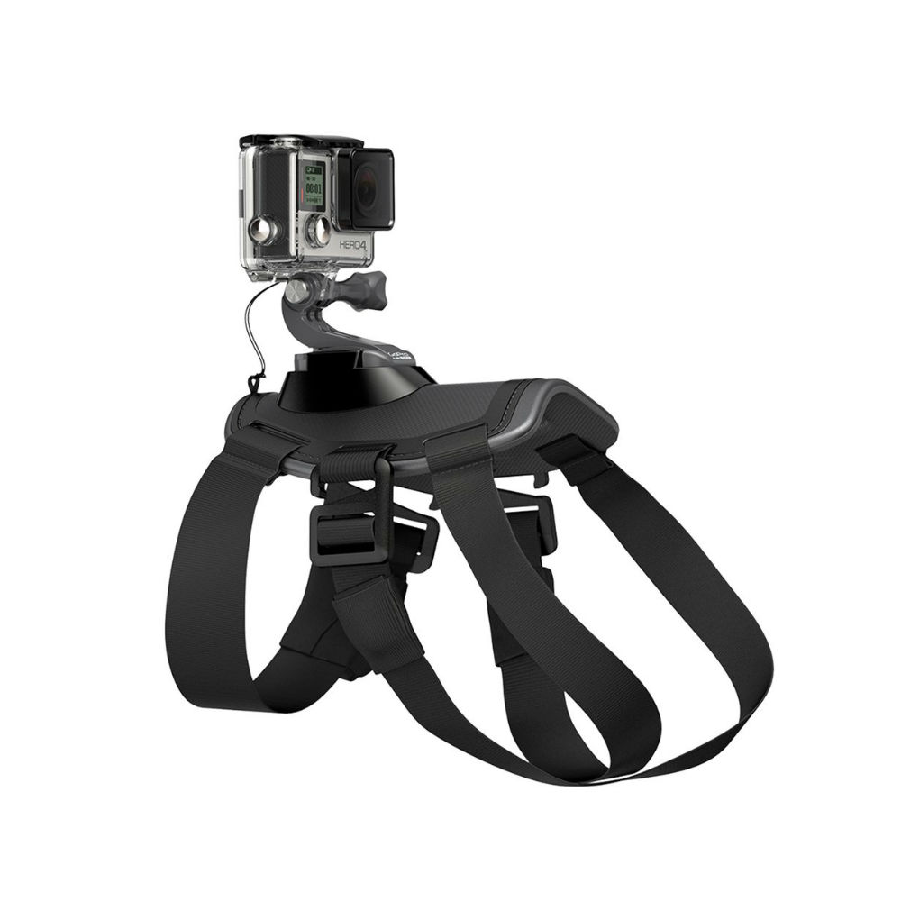 Gopro imbracatura per cane Fetch