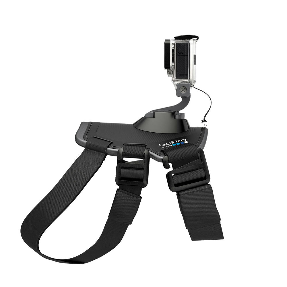 Gopro imbracatura per cane Fetch