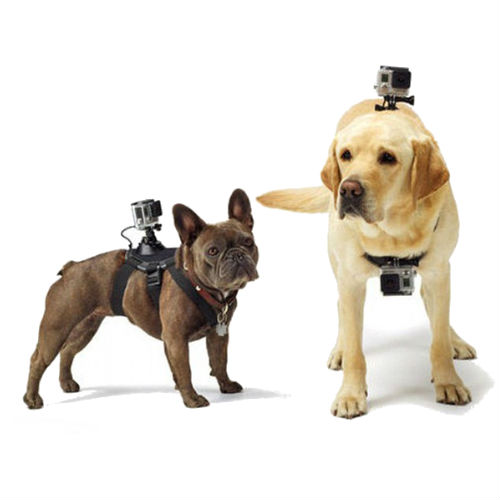 Gopro imbracatura per cane Fetch