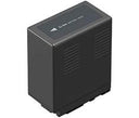 Panasonic VW-VBG6E-K battery