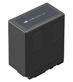 Panasonic VW-VBG6E-K battery