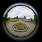 Lensbaby Objetivo Ojo de Pez Circular MFT