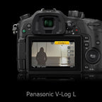 Panasonic DMW-SFU1GU V-Log Córdigo de Actualización para GH4/GH5/G9/FZ000