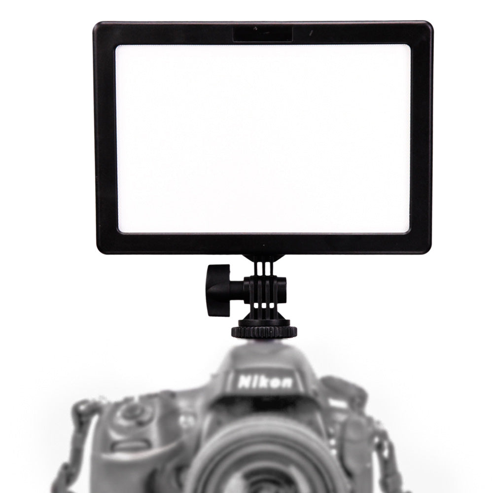 Ledgo E116C Bicolore
