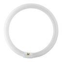 Falcon Eyes Lampe annulaire de rechange pour FLC-65 65W