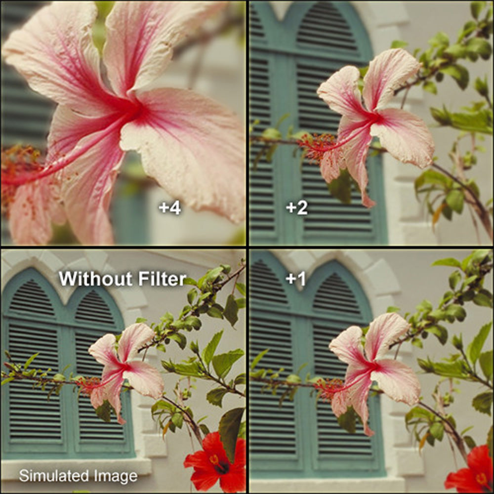 Hoya 77mm Close-Up Set (+1,+2,+4) II HMC