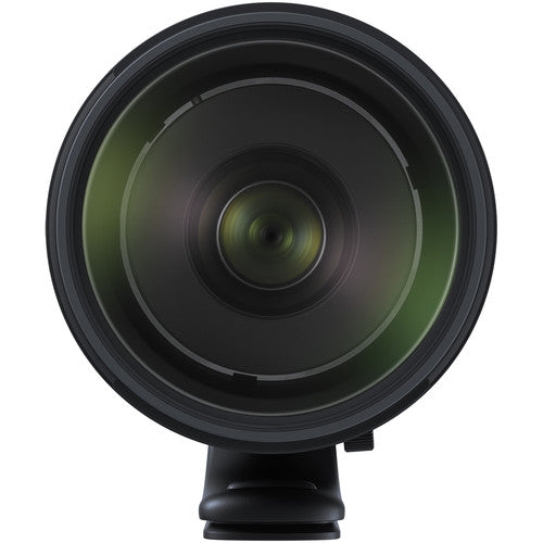 Tamron 150-600mm F/5-6.3 Di VC USD G2 Canon EF + 1.4x Teleconverter
