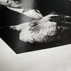 Hahnemühle Photo Rag Baryta 315 g A5 30 Blatt