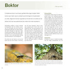 Practical Book Nature Photography NXT LVL