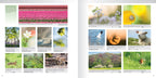 Pixfactory Praktijkboek natuurfotografie Jaarrond