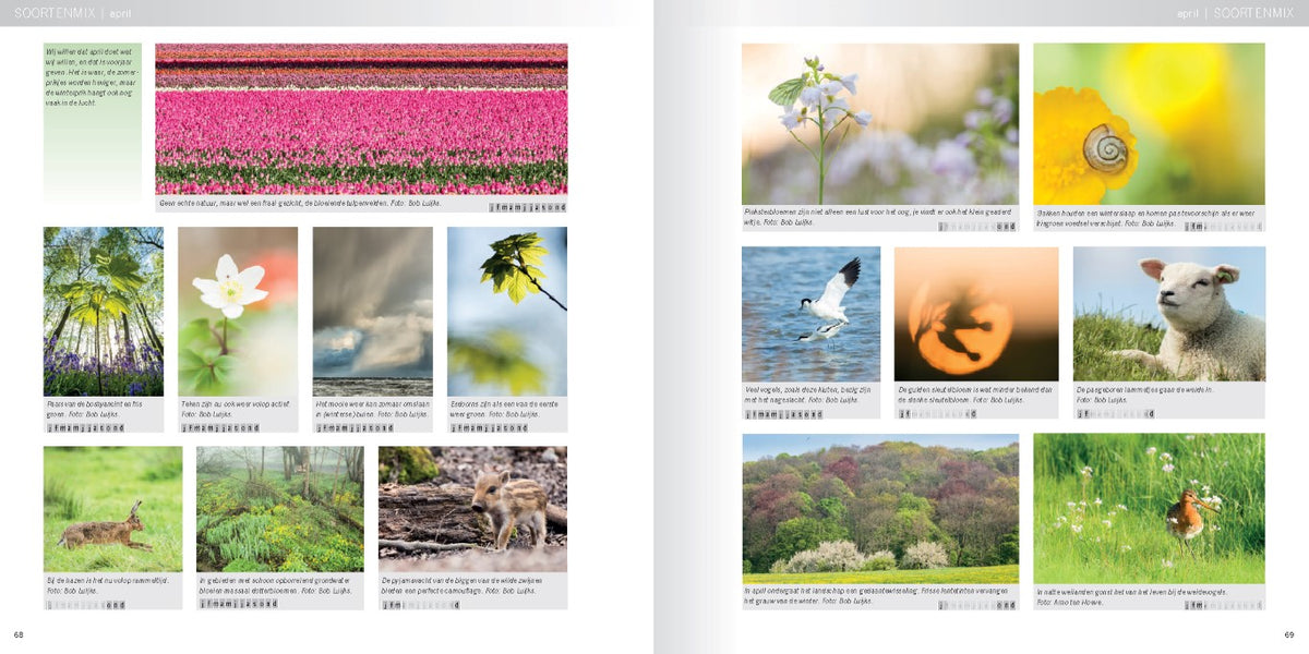 Pixfactory Praktijkboek natuurfotografie Jaarrond