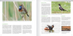 Pixfactory Praktijkboek natuurfotografie Jaarrond