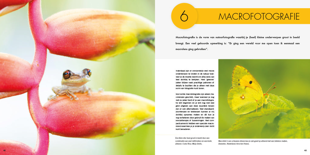 Pixfactory Natuurfotografie voor uilskuikens
