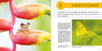 Pixfactory Natuurfotografie voor uilskuikens