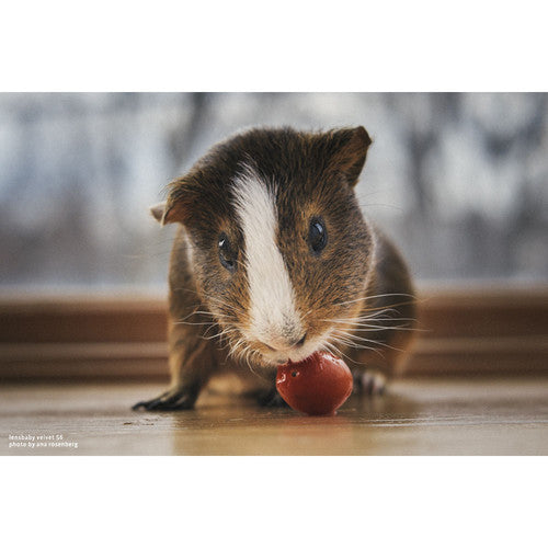 Lensbaby Velvet 56 nero Nikon Z