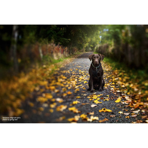 Lensbaby Composer pro II Nikon Z con Edge 50