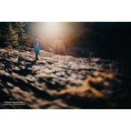 LensBaby Compositore Pro II Nikon Z con Edge 35