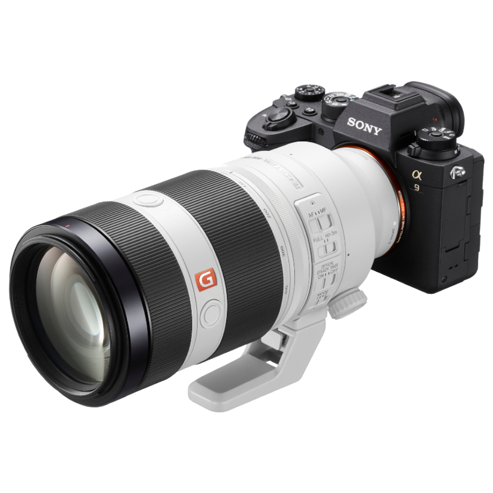 Sony A9 mark II + 100-400mm GM OSS