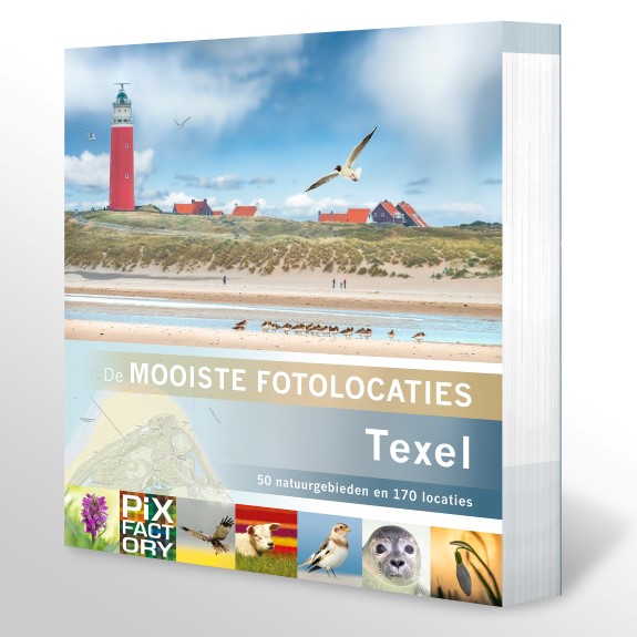 Die schönsten Fotolocations – Texel