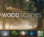 Woodscapes - Handbuch spektakuläre Waldlandschaften