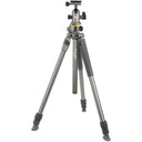 Vanguard Alta Pro 2+ 263AB100 OUTLET