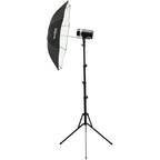 Godox Witstro AD300Pro 2-head Outdoor Flash Kit