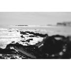 Lensbaby Composer Pro II avec Edge 80 Nikon Z