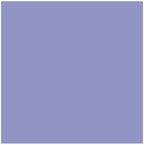 Bresser SBP24 2,72x11m Crocus Viola Rotolo di sfondo