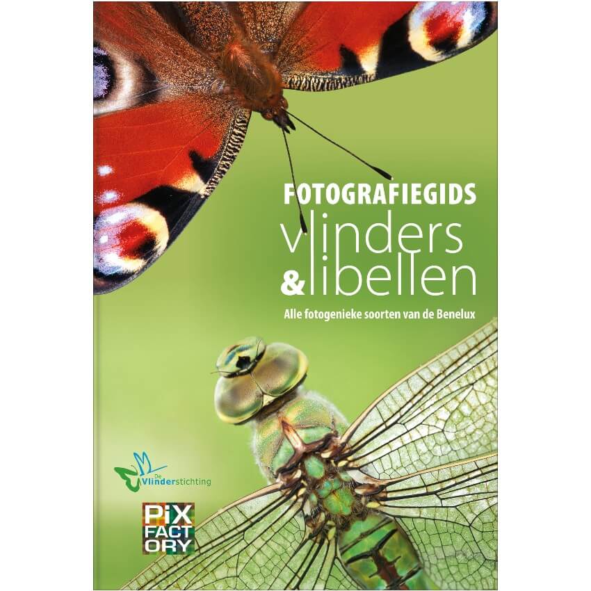 Guida fotografica Farfalle e libellule