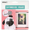 Fujifilm Instax Cane con cornice per fisarmonica