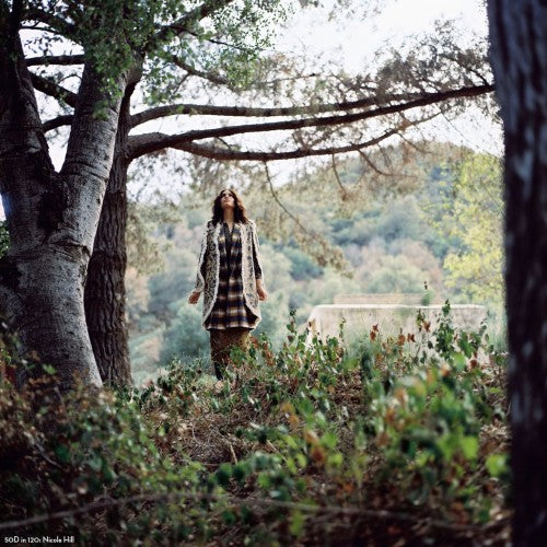 CineStill Xpro 50 Daylight C41 120