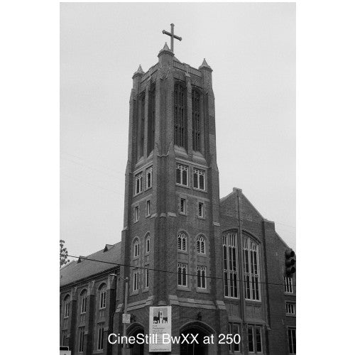 Cinestill DF96 Monobagno
