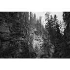 Cinestill DF96 Monobath-Pulver