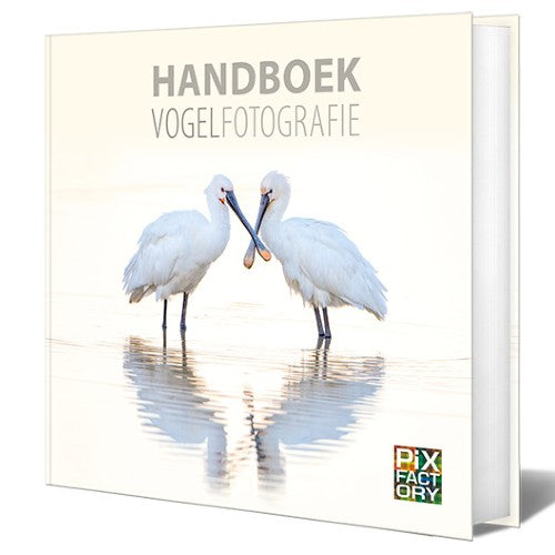 Manual de fotografía de aves