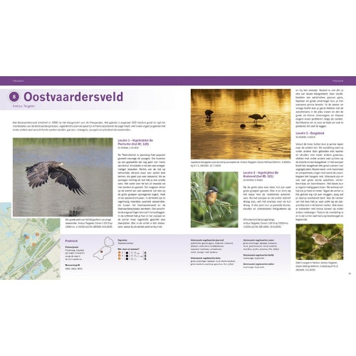 Pixfactory De beste vogelgebieden van Nederland