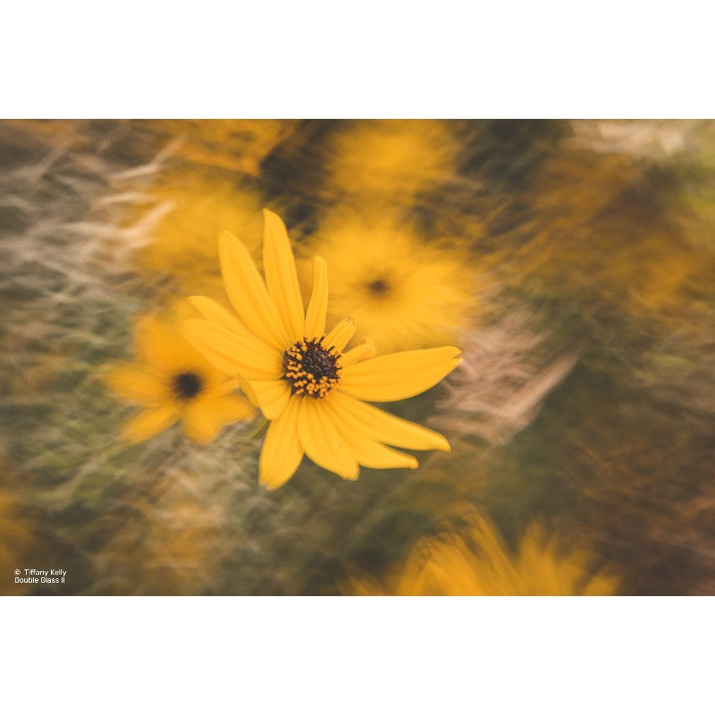 Lensbaby Composer Pro II w/ Doppio Glass II per Sony E