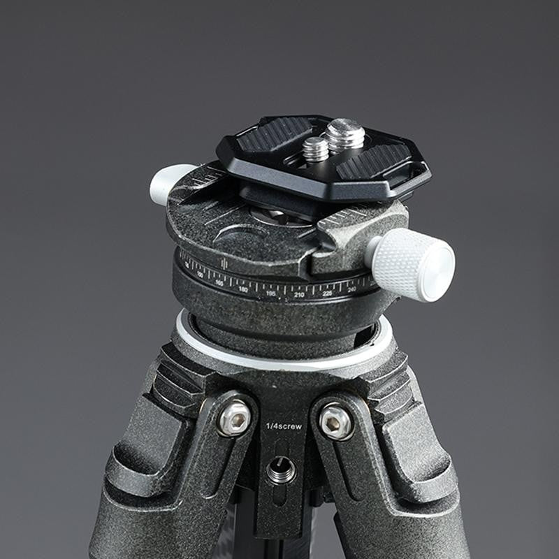 Falcam F38 Sgancio rapido Dual Vite Thread Piastra V2 2969A