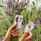 Fujifilm INSTAX mini Instant Film - Soft Lavender / 10 pack