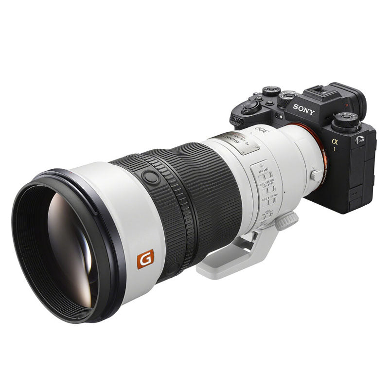 Sony FE 300mm f/2.8 GM OSS + FE 1.4x Teleconvertitore