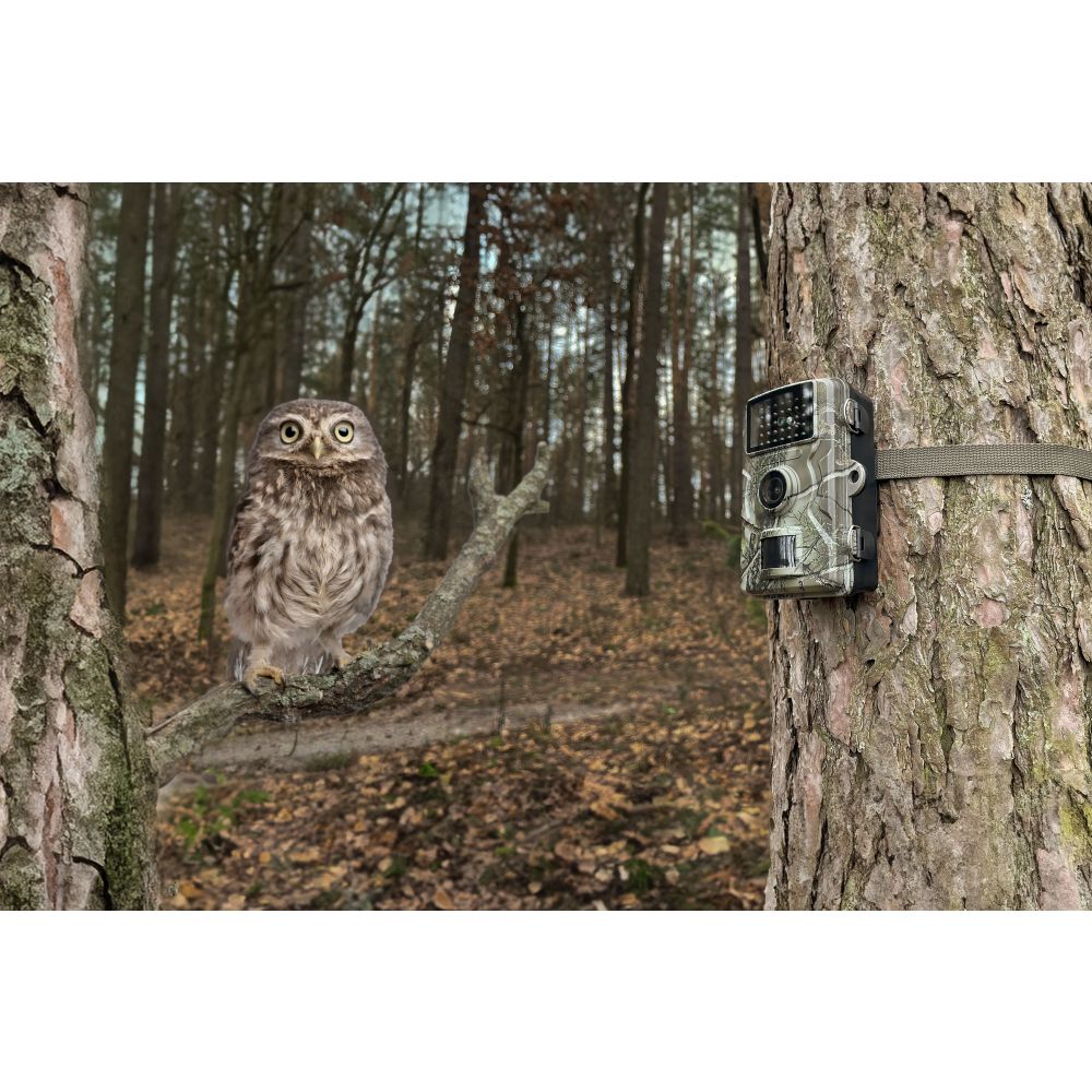 Technaxx Wildcamera 1080p TX-256