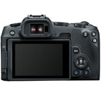 Canon EOS R8 + RF 24-50mm f/4.5-6.3 IS STM + RF 35mm f/1.8 IS Macro STM