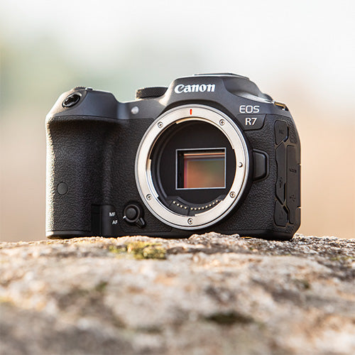 Canon EOS R7 + RF-S 18-150mm f/3.5-6.3 IS STM + RF 50mm f/1.8 STM