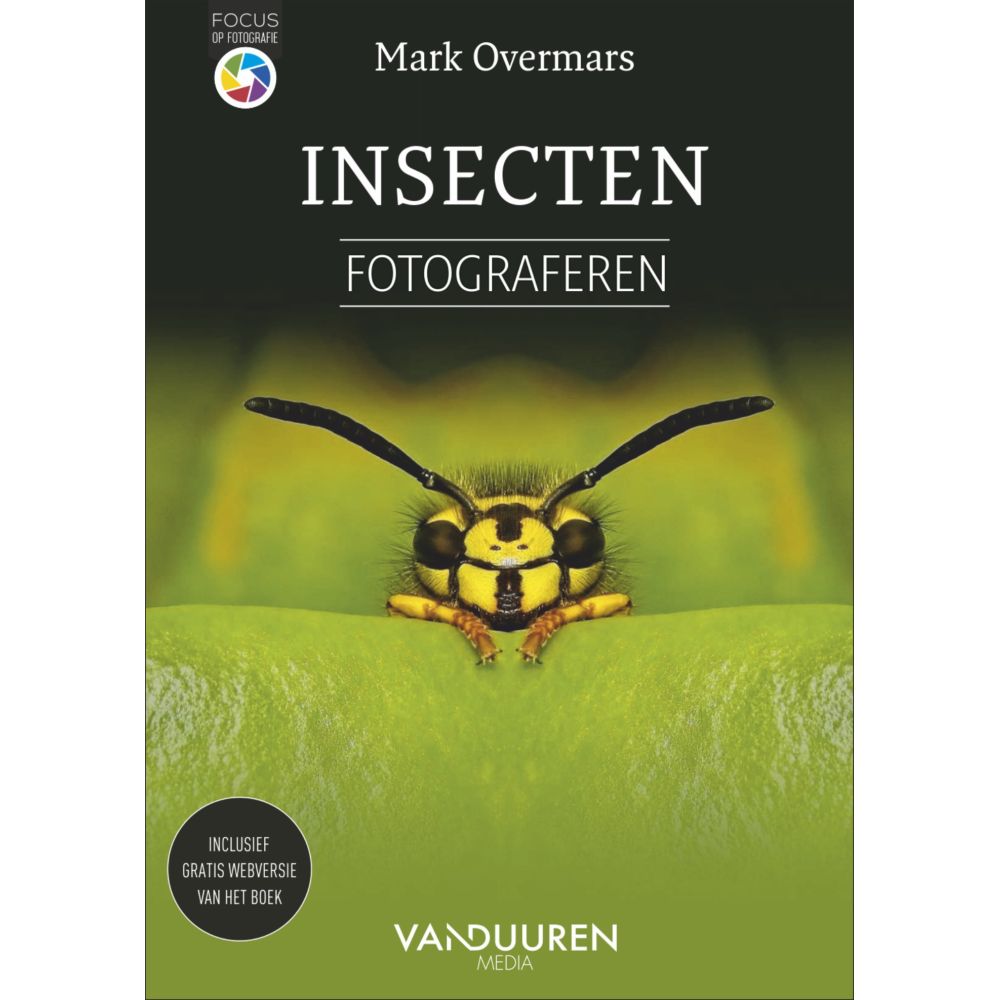 Insekten fotografieren