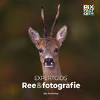 Guide expert Ree & Photographie